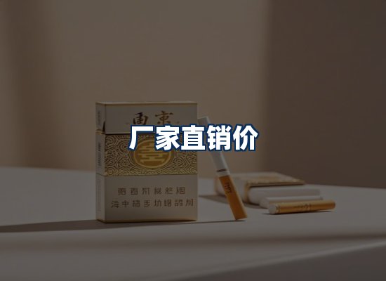 专业团队办公环境